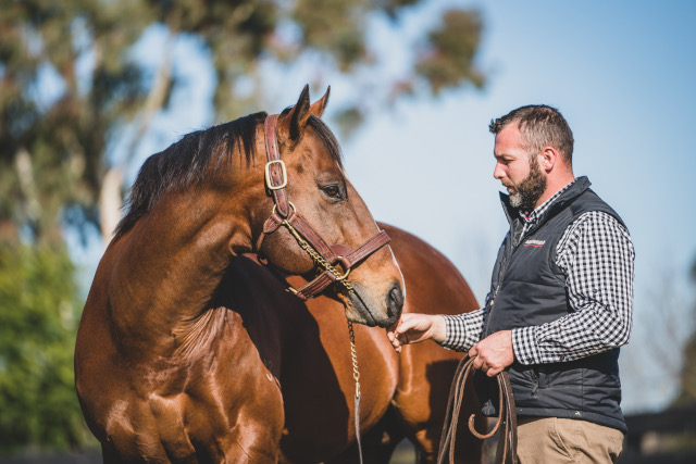 New Group winner caps Snitzel’s six-win Saturday