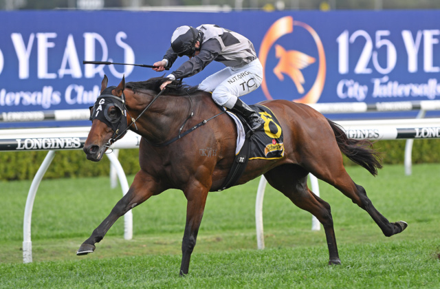 25th stakes double for Snitzel