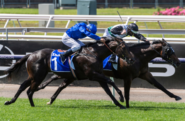 Written Tycoon’s Cup Day Group double