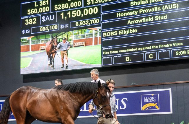 The Magic Millions numbers that matter