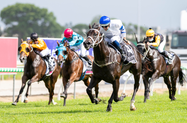 Strong Arrowfield presence in Magic Millions races