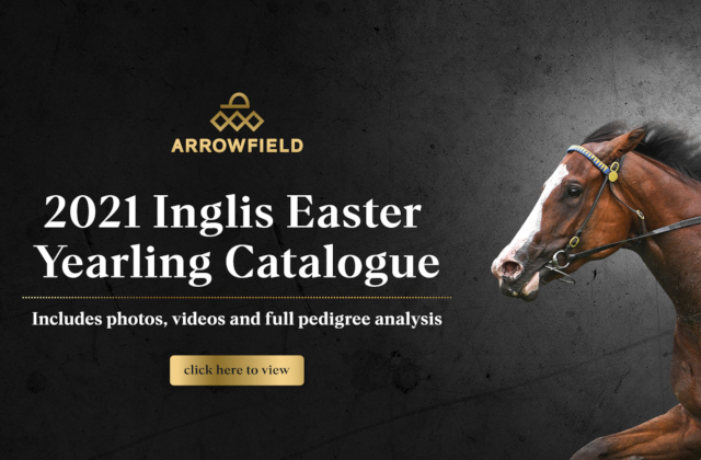Arrowfield Inglis Easter catalogue online now