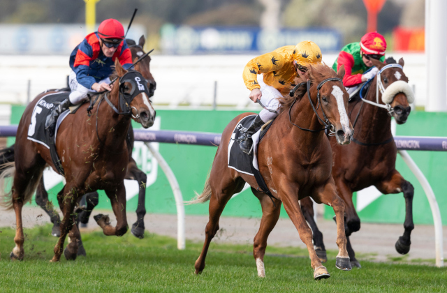 Royalzel thrills owner with Flemington stakes win