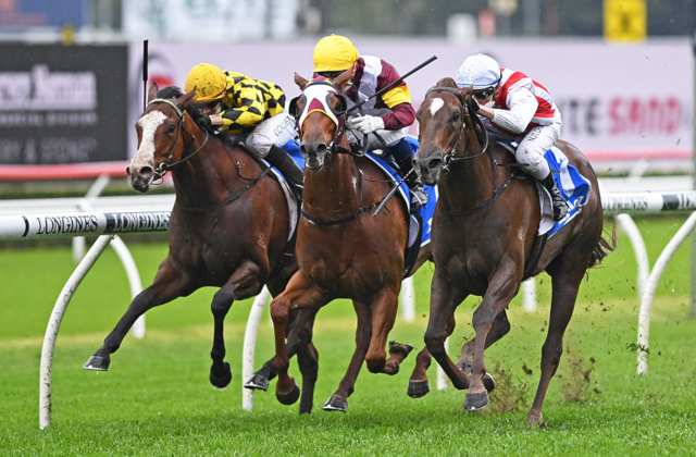 Snitzel filly claims Tea Rose Stakes