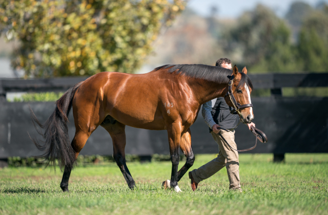 Pariah’s eye-catching first trial winner