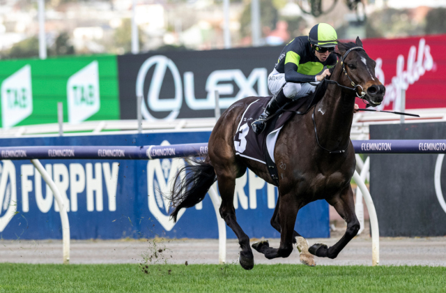 Busy weekend puts Snitzel back on top