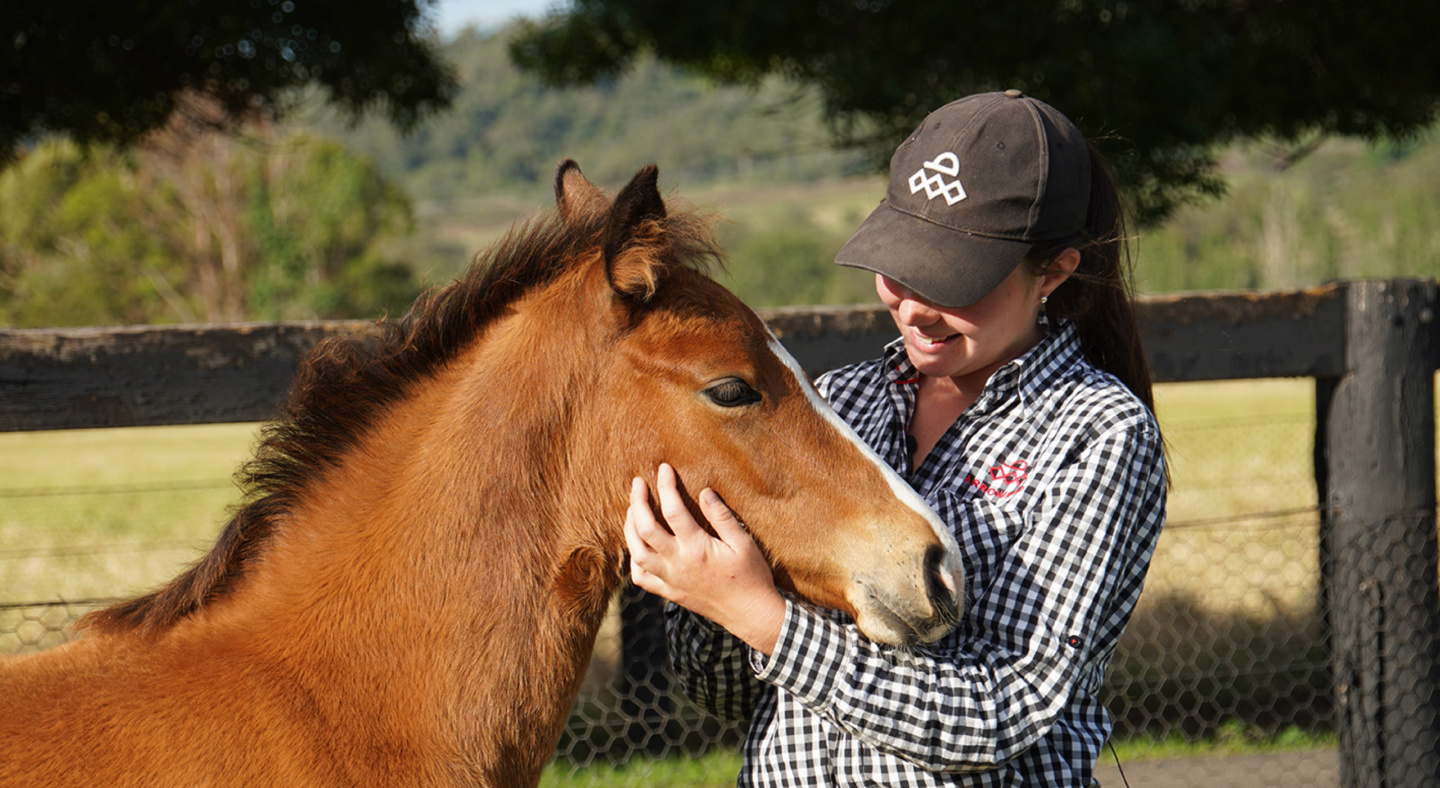 Employment Opportunities at Arrowfield Stud