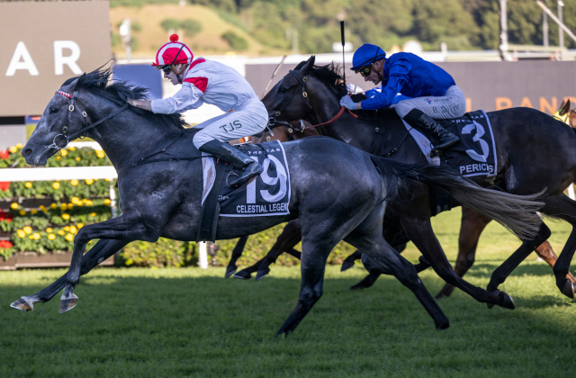 Dundeel dominates the Doncaster Mile