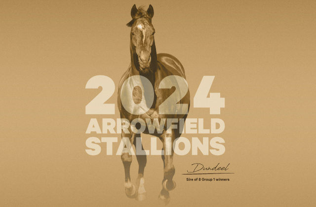 Arrowfield announces 2024 stallion roster