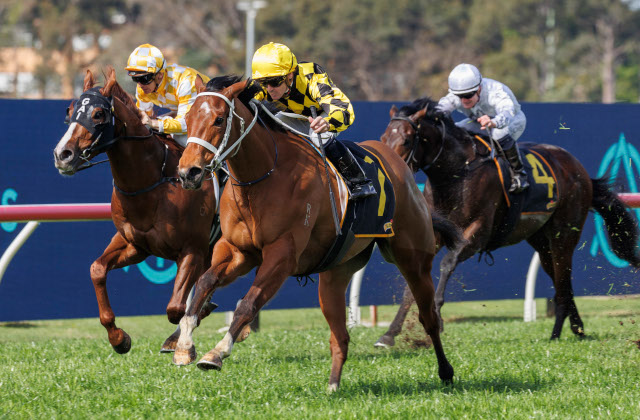 Arrowfield’s Glowing day at Rosehill