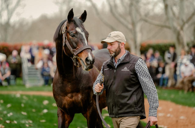 Big turnout for 2024 Stallion Parade