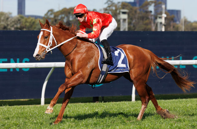 Gatsby’s makes a great start for Snitzel