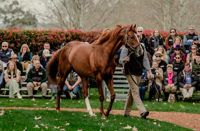 Admire Mars #1 on First Season Sires’ table