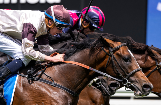 Kingofwallstreet wins G3 Caulfield Classic