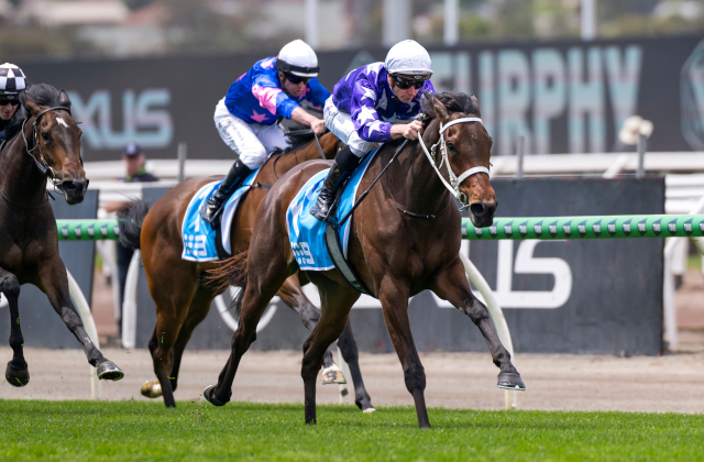 Castelvecchio filly wins the G3 Carbine Club Stakes