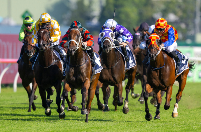 Arrowfield’s super Saturday at Rosehill