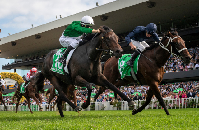 Arrowfield’s cup overflows on Slipper day