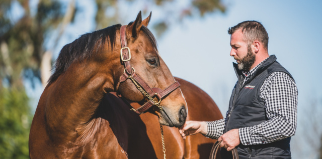 Meet Snitzel’s 45th millionaire