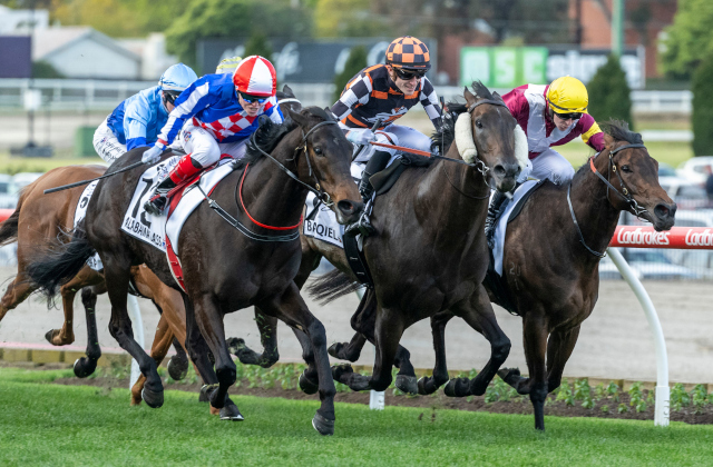Graduate Baraqiel is Snitzel’s 24th G1 winner