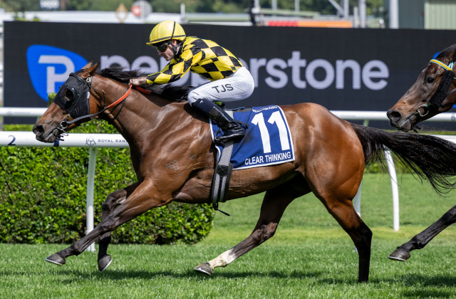 Clear Thinking wins The Kosciuszko