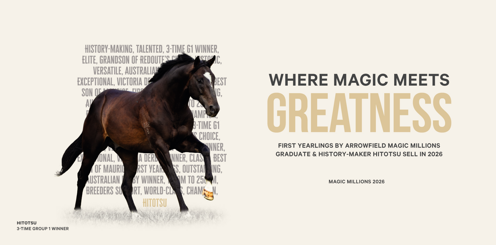 Where Magic Meets Greatness