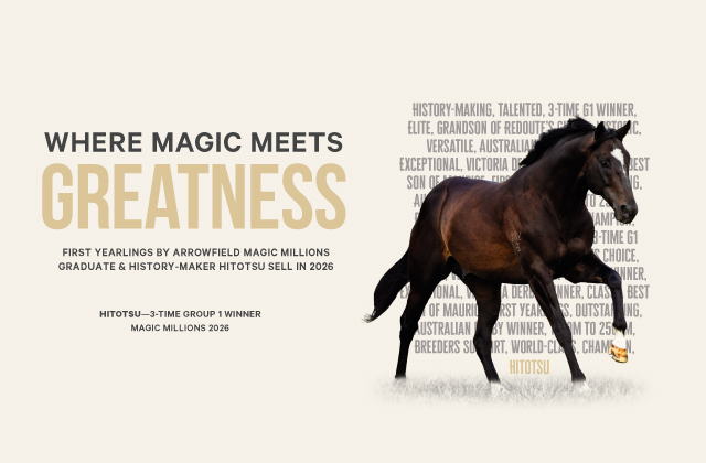 Where Magic Meets Greatness