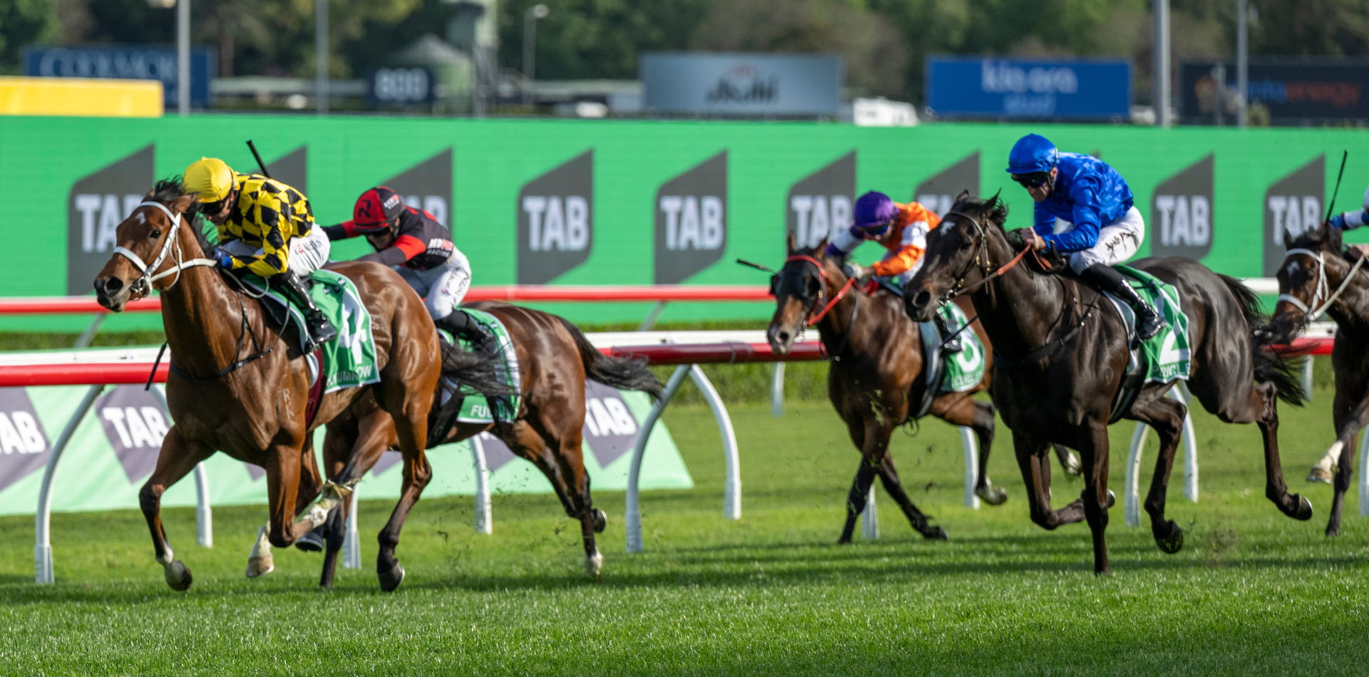 Success on all fronts in 2025