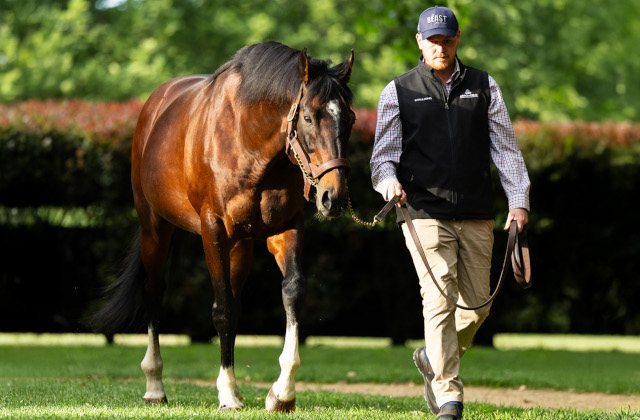 7th Group 1 winner for Maurice