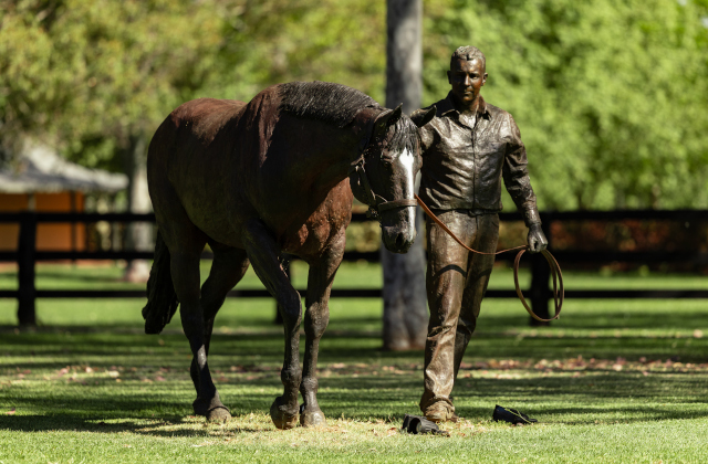 Snitzel’s 16th stakeswinner of 2025