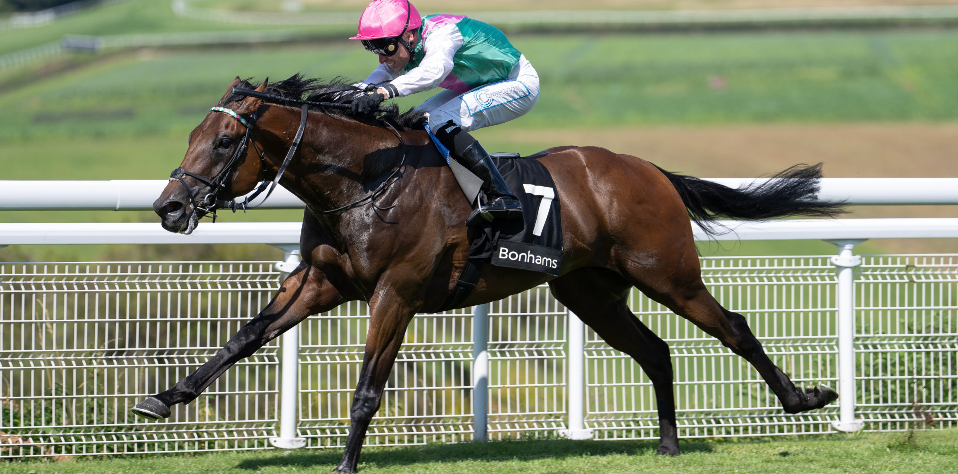 Lead Artist joins Arrowfield’s roster in 2026