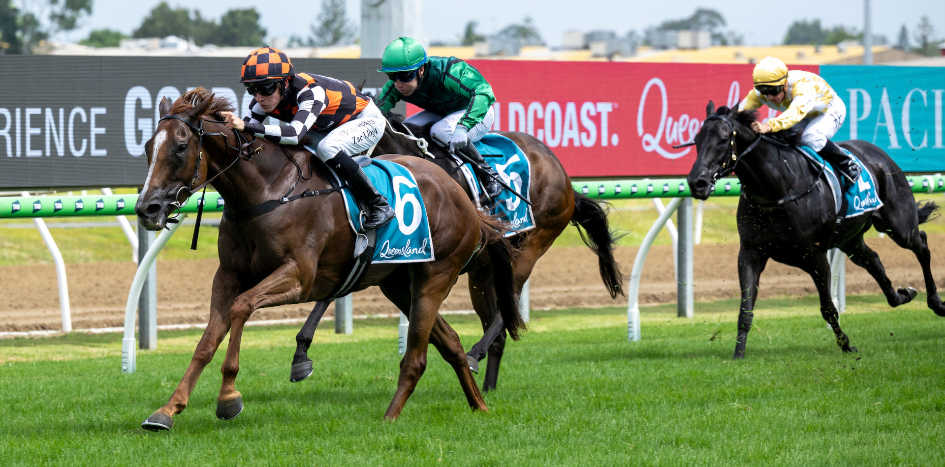 Snitzanova caps Snitzel’s champion week