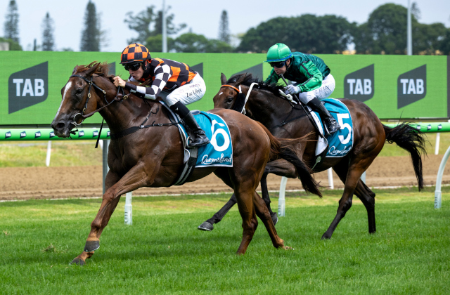 Snitzanova caps Snitzel’s champion week