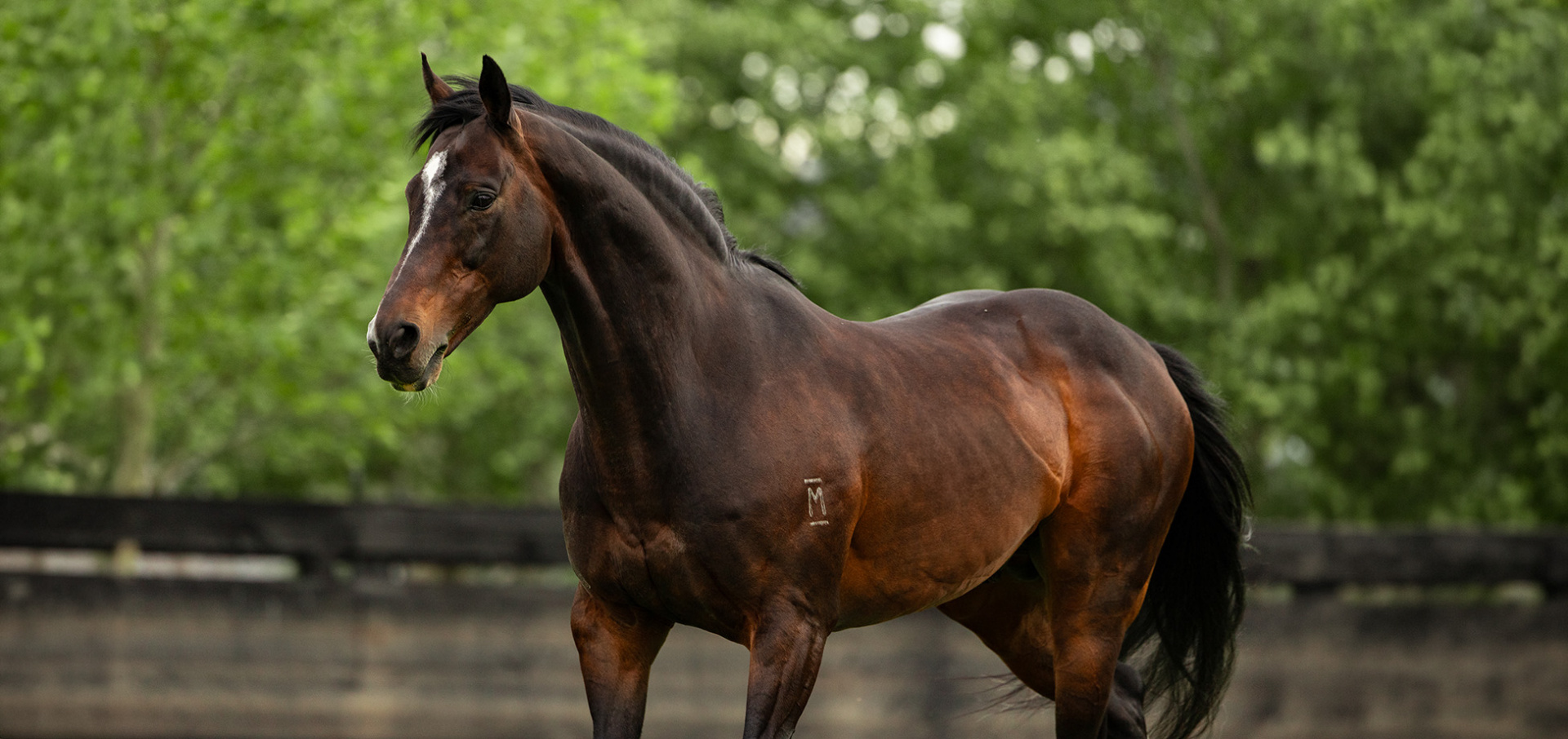 Forging High Chaparral’s legacy