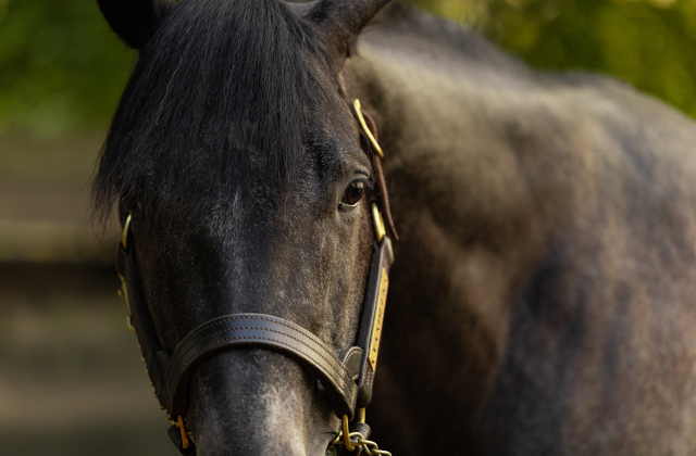 The start of something BIG…