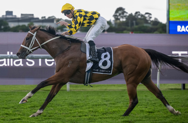 The Autumn Sun shines on Arrowfield