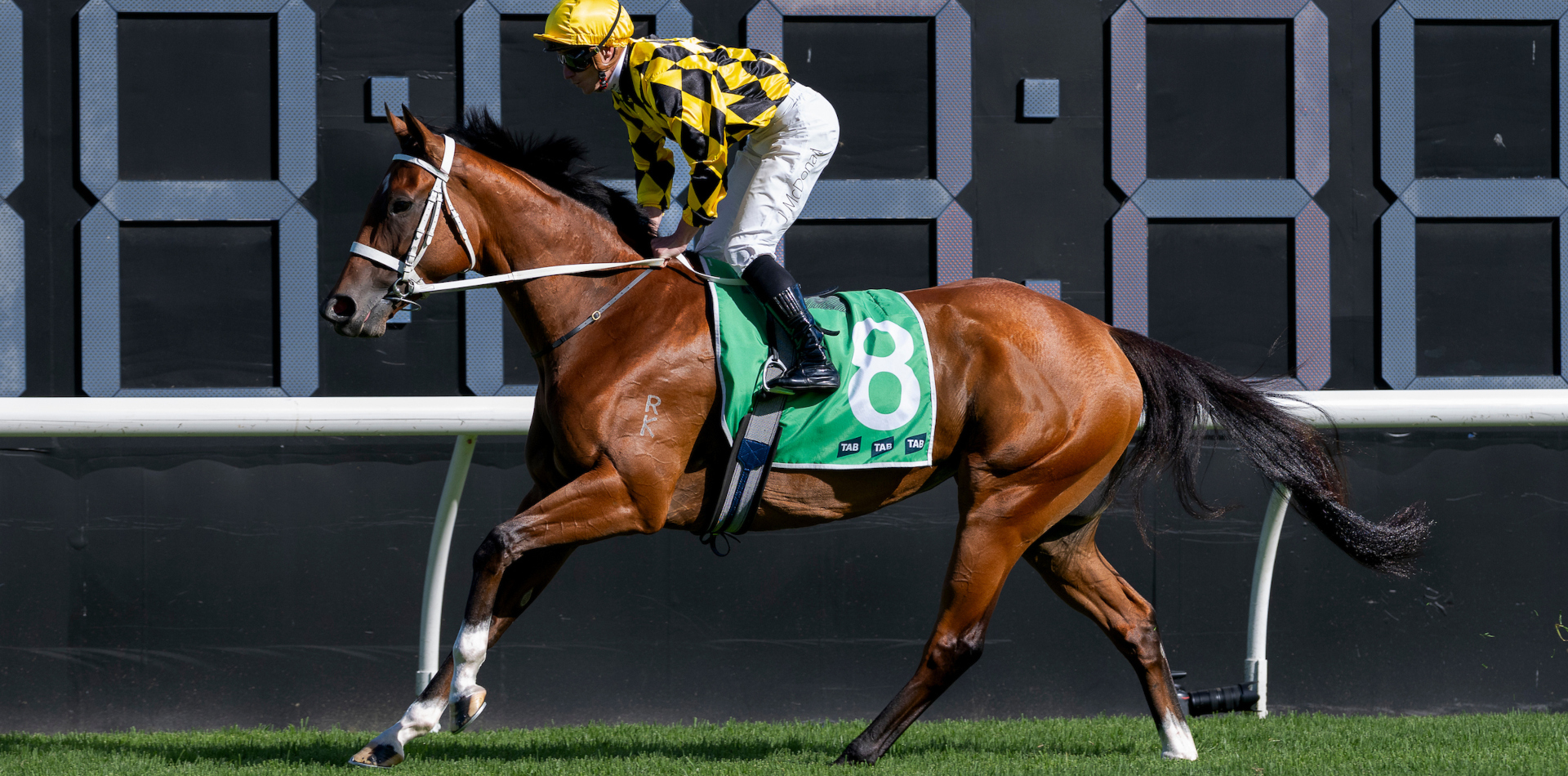 A Glowing day for Arrowfield sires