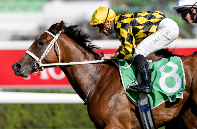 A Glowing day for Arrowfield sires