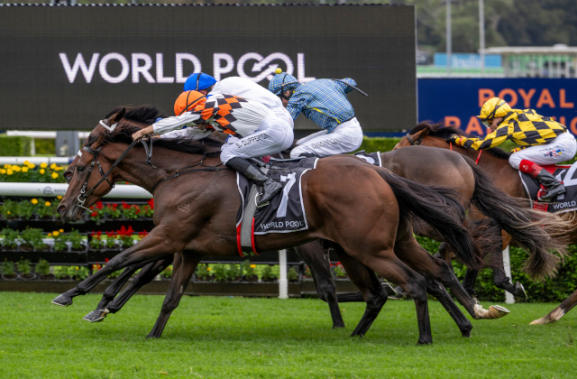 Autumn Break wins G3 Carbine Club Stakes