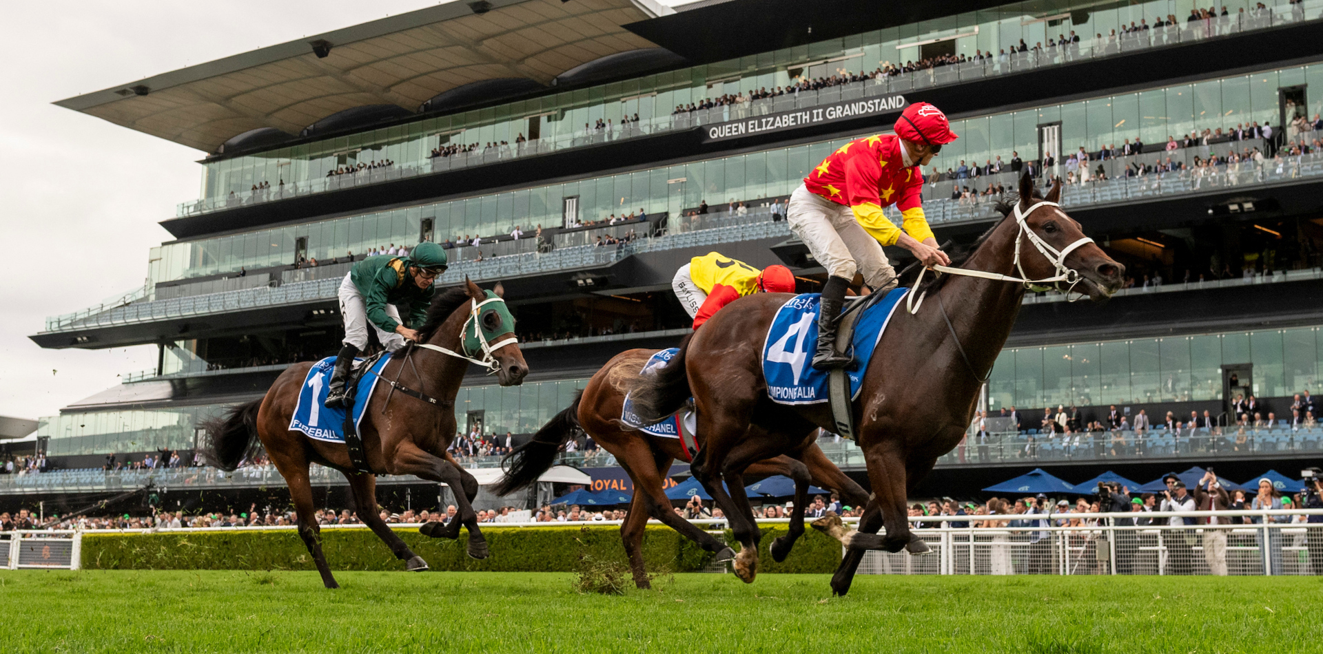 9th 2YO Group 1 winner for Snitzel