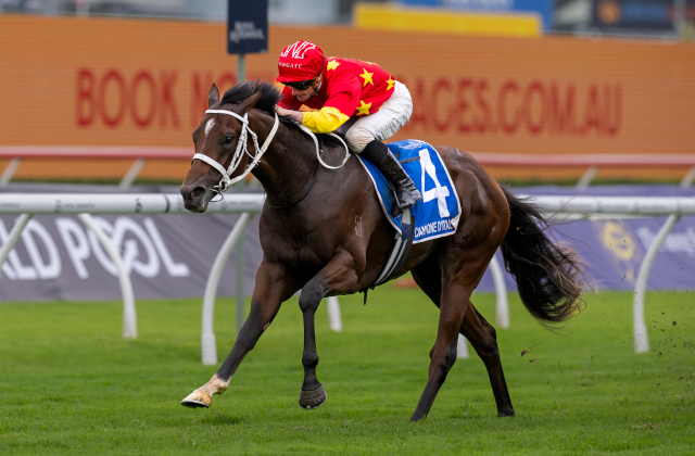 9th 2YO Group 1 winner for Snitzel