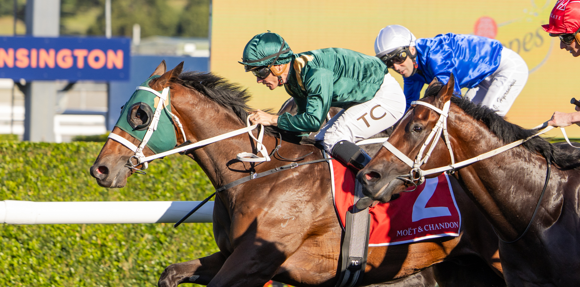 Snitzel pops the Champagne!