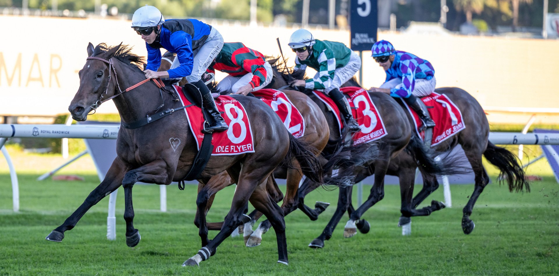 Nothing Idle about Dundeel’s Flyer!