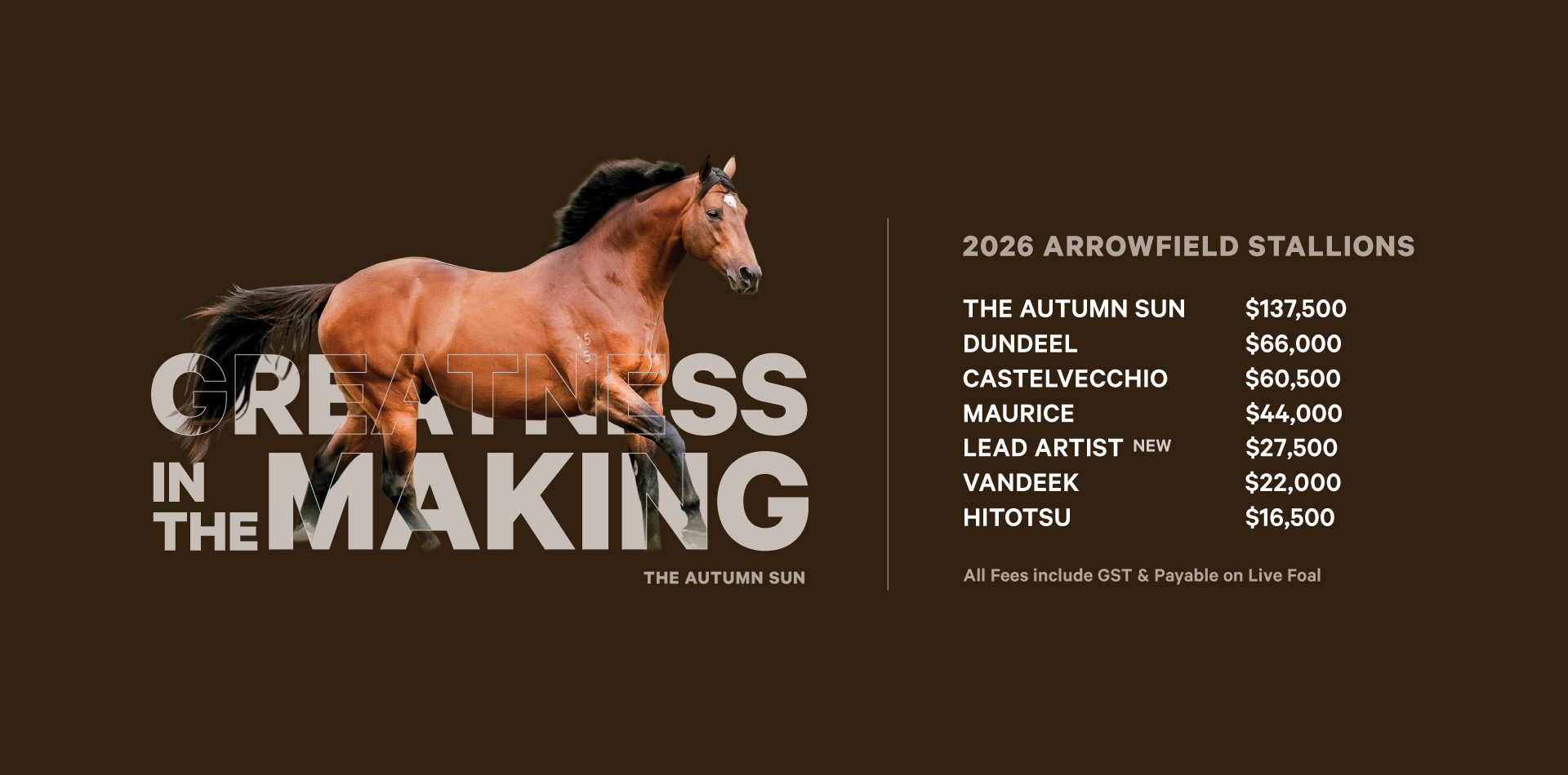The Autumn Sun heads 2026 Arrowfield Roster