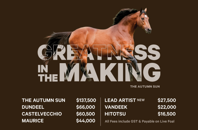 The Autumn Sun heads 2026 Arrowfield Roster