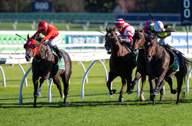 Maurice’s multi-millionaire marvel