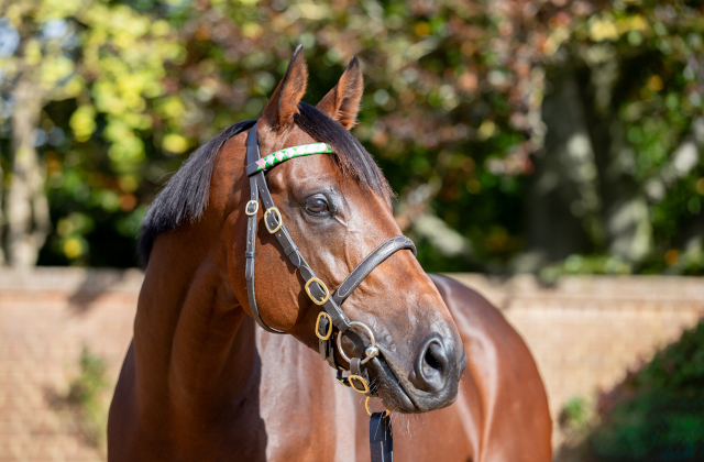 Dubawi and sons strike early in 2026