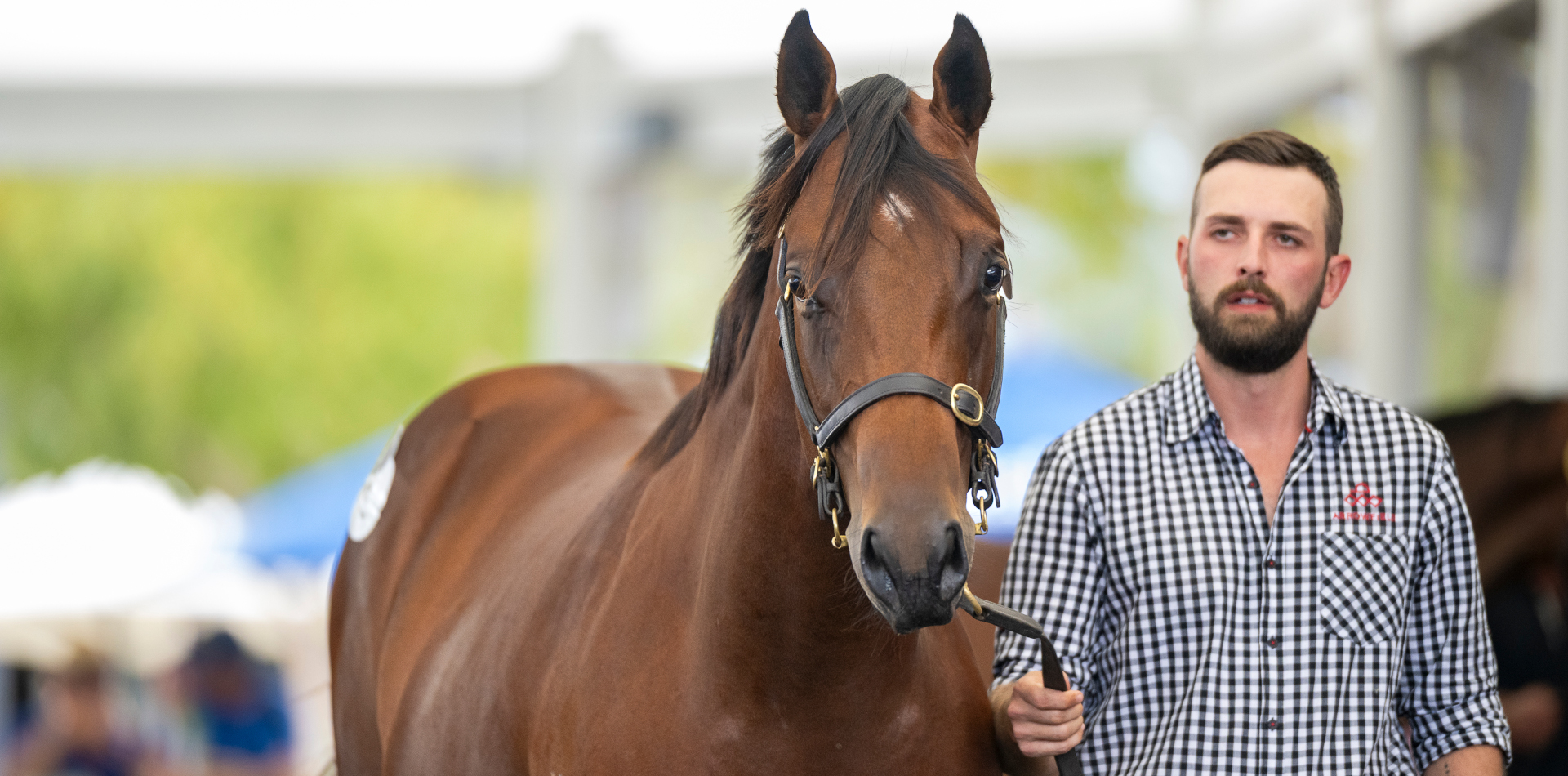 St Gotthard heads busy day for Arrowfield graduates