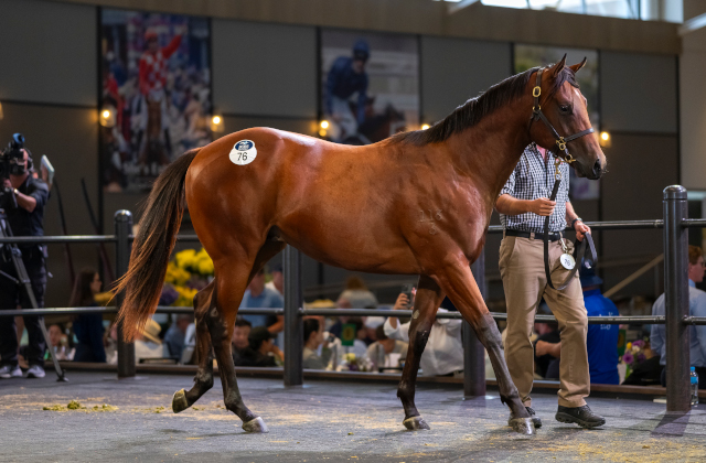 St Gotthard heads busy day for Arrowfield graduates