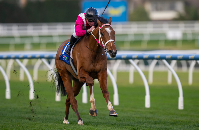 Cosmic Crusader shows stellar speed at Caulfield