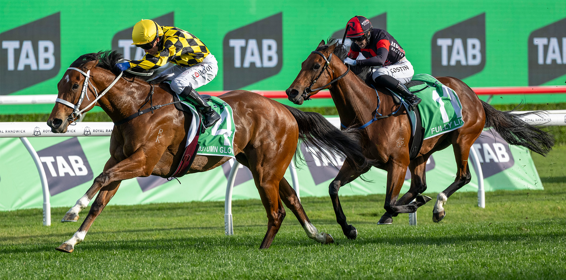 Arrowfield stallions dominate 2025/26 awards